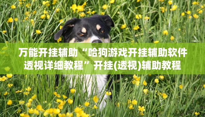 玩家科普”老友十三水辅助挂”分享外挂教学详细 玩家科普”老友十三水辅助挂”分享外挂教学详细