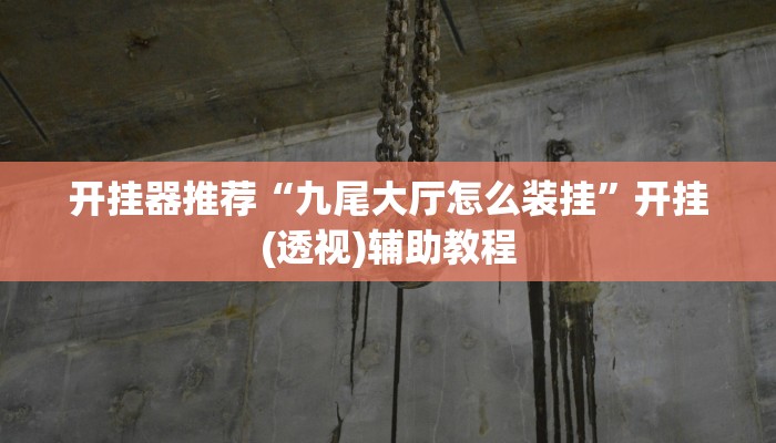 开挂器推荐“九尾大厅怎么装挂”开挂(透视)辅助教程 开挂器推荐“九尾大厅怎么装挂”开挂(透视)辅助教程