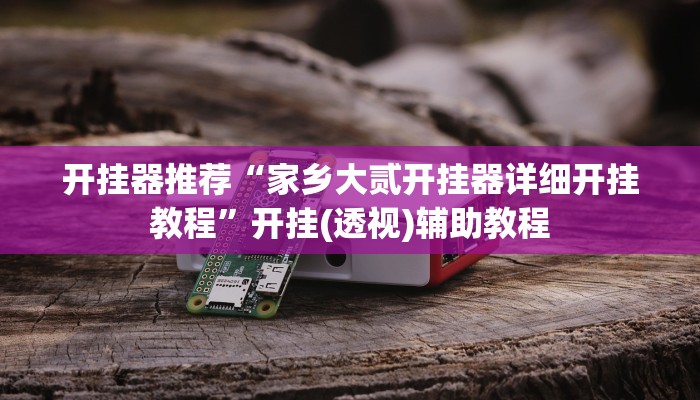 开挂器推荐“家乡大贰开挂器详细开挂教程”开挂(透视)辅助教程 开挂器推荐“家乡大贰开挂器详细开挂教程”开挂(透视)辅助教程