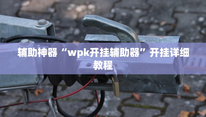 辅助神器“wpk开挂辅助器”开挂详细教程 辅助神器“wpk开挂辅助器”开挂详细教程