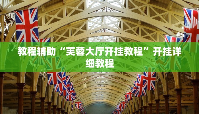 教程辅助“芙蓉大厅开挂教程”开挂详细教程