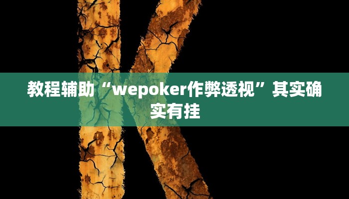 教程辅助“wepoker作弊透视”其实确实有挂