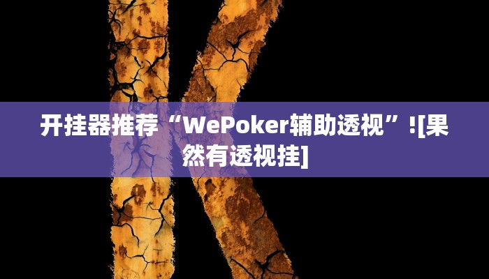 开挂器推荐“WePoker辅助透视”![果然有透视挂]