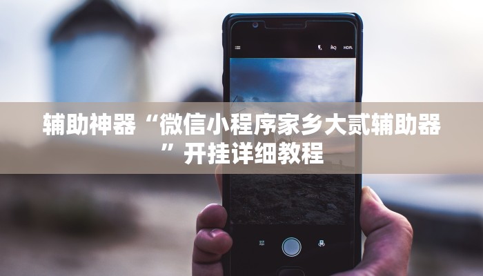 辅助神器“微信小程序家乡大贰辅助器”开挂详细教程