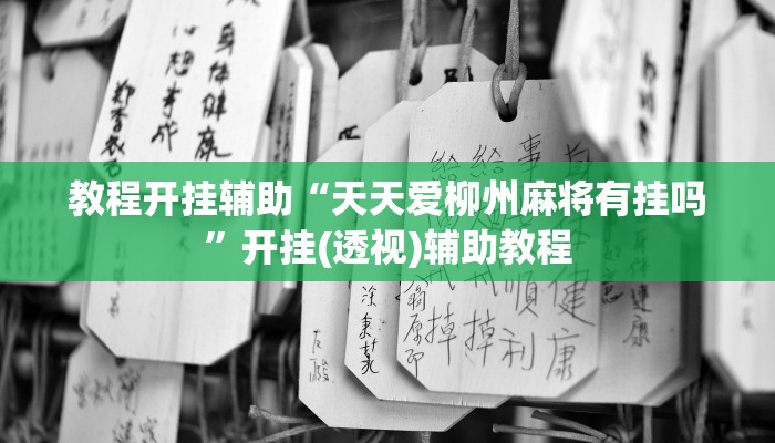 教程开挂辅助“天天爱柳州麻将有挂吗”开挂(透视)辅助教程 教程开挂辅助“天天爱柳州麻将有挂吗”开挂(透视)辅助教程