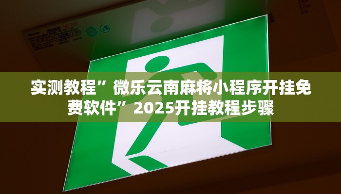 实测教程”微乐云南麻将小程序开挂免费软件”2025开挂教程步骤