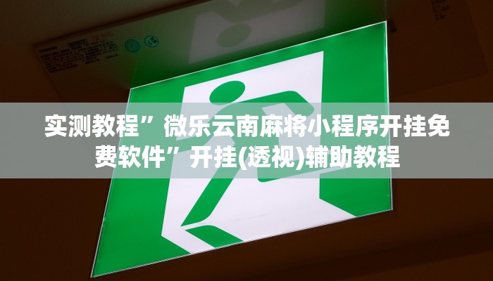 实测教程”微乐云南麻将小程序开挂免费软件”开挂(透视)辅助教程