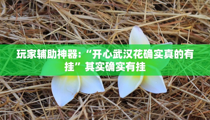 万能开挂辅助“微乐河南麻将小程序万能挂免费版”开挂(透视)辅助教程