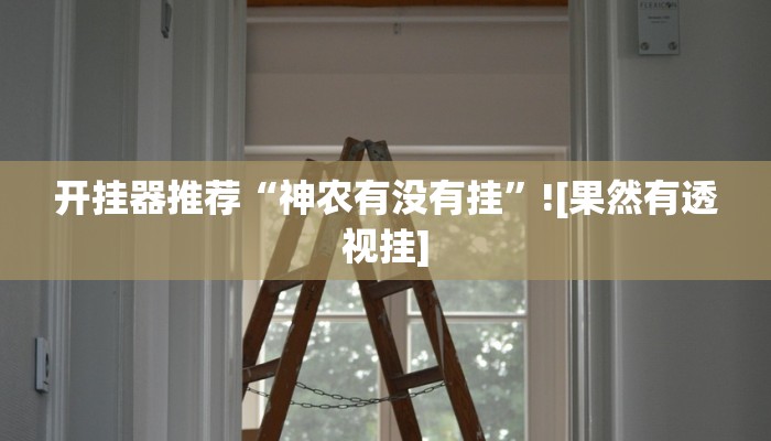 开挂器推荐“神农有没有挂”![果然有透视挂]